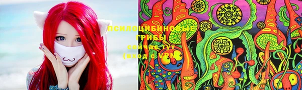 ПСИЛОЦИБИНОВЫЕ ГРИБЫ Дмитров